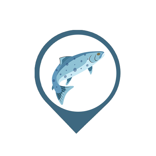 Icon Kategori